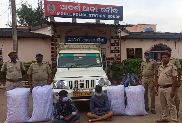 ବୌଦ୍ଧରୁ ଏକ କୁଇଣ୍ଟାଲ ଗଞ୍ଜେଇ ଜବତ, ୨ ଗିରଫ