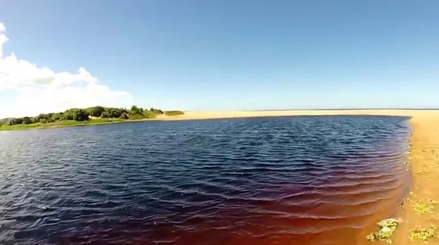 ନୂଆ ସମୟ, ନୂଆ କଥା: କୋକାକୋଲା ହ୍ରଦ ଏବଂ ଇନ୍ଧନ ପ୍ରସ୍ତୁତ କରିବ ସାଇବର୍ଗ ବ୍ୟାକ୍ଟେରିଆ