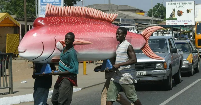 ଖୋଲା ଝରକା: କଫିନ୍‌ର ଦେଶ