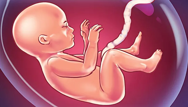 ବେଆଇନ ଭ୍ରୁଣ ଚିହ୍ନଟ ରାକେଟ, ଦଲାଲ ସାଜିଥିଲେ ଆଶାକର୍ମୀ; ମଧ୍ୟସ୍ଥି ଥିଲେ ଔଷଧ ଦୋକାନୀ