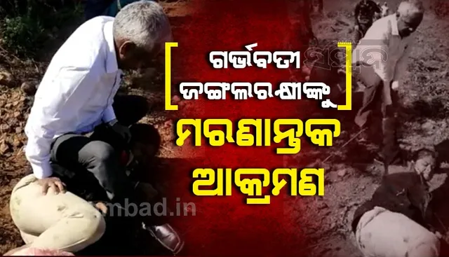 ଗର୍ଭବତୀ ମହିଳା ଜଙ୍ଗଲ ରକ୍ଷୀଙ୍କ ଉପରେ ପ୍ରାଣାନ୍ତକ ଆକ୍ରମଣ କରି ଗିରଫ ହେଲେ ପୂର୍ବତନ ସରପଞ୍ଚ ଦମ୍ପତି