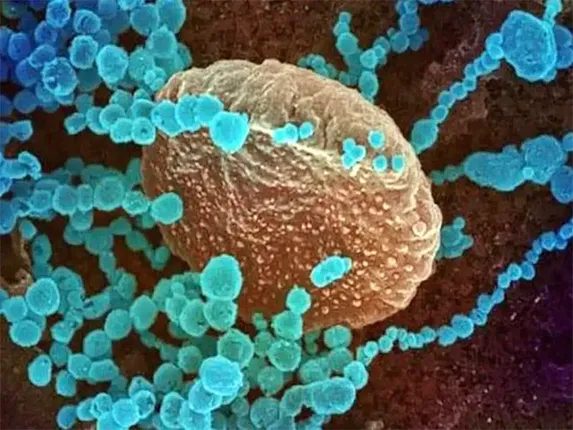 ଡେଲ୍‌ଟାକୁ ପଛରେ ପକାଇଲା ଓମିକ୍ରନ୍‌