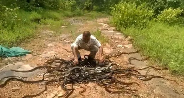 ମୃତବ୍ୟକ୍ତିଙ୍କ ଘର ଚାରିପଟେ ଘେରି ରହିଥିଲେ ୧୦୦ରୁ ଅଧିକ ସାପ, ପୁଲିସ ଦେଖି ‌ହେଲା ସ୍ତବ୍ଧ