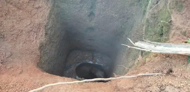 କୂଅରେ ପଡ଼ିଲା ହାତୀଛୁଆ: ହାତୀପଲଙ୍କ ତାଣ୍ଡବଲୀଳା, ଉଦ୍ଧାର କାର୍ଯ୍ୟ ହୋଇପାରୁନି