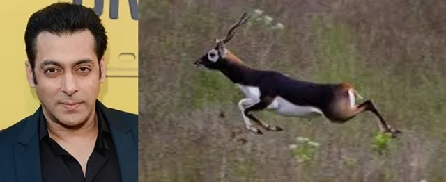 ସଲମାନ ମାରିଥିବା କଳାହରିଣ ସ୍ମୃତିରେ ତିଆରି ହେବ ସ୍ମାରକ