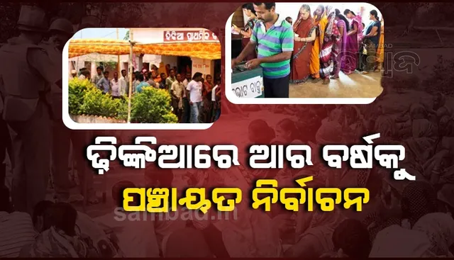 ଏବର୍ଷ ଢ଼ିଙ୍କିଆରେ ହେବନି ନିର୍ବାଚନ, ଜାଣନ୍ତୁ କାରଣ