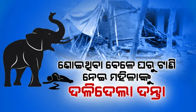 ଶୋଇଥିବା ବେଳେ ଘରୁ ଟାଣି ନେଇ ମହିଳାଙ୍କୁ ଦଳିଦେଲା ଦନ୍ତା