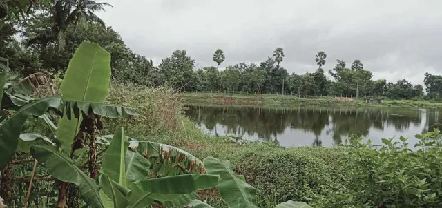 ପରମହଂସ ପଞ୍ଚାୟତ ମହୁରା ପୋଖରୀ କେଳେଙ୍କାରୀ: ଫାଇଲ୍ ଭିତରେ ଚାପି ହୋଇଗଲା ତଦନ୍ତ; ଭିଜିଲାନ୍ସ ବିଭାଗ ବି ଚୁପ୍‌