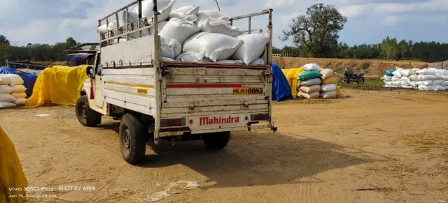 ଧାନର ଅଭାବୀ ବିକ୍ରି ପାଇଁ ସରକାର ବାଧ୍ୟ କରୁଛନ୍ତି