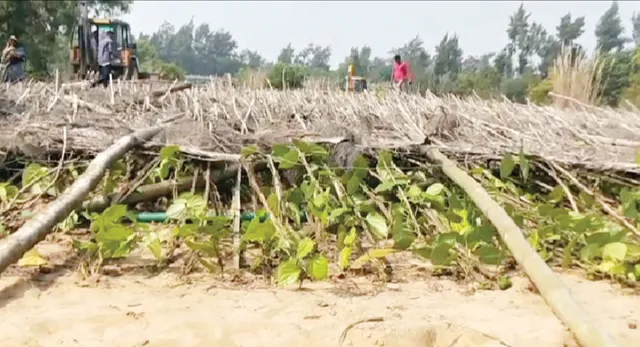 ଢିଙ୍କିଆରେ ଫେରୁଛି କି ସ୍ବାଭାବିକ ଅବସ୍ଥା: ପ୍ରଥମ ଦିନରେ ୫୦ରୁ ଅଧିକ ପାନବରଜ ମାପଚୁପ