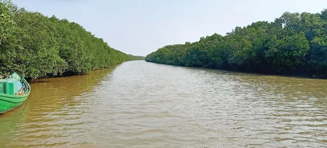 ଫରେଷ୍ଟ ସର୍ଭେ ଅଫ୍ ଇଣ୍ତିଆ-୨୦୨୧ ରିପୋର୍ଟ, ଭିତରକନିକାରେ ବଢିଛି ସବୁଠୁ ଅଧିକ ଲୁଣା ଜଙ୍ଗଲ