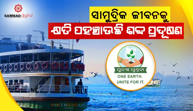 ସାମୁଦ୍ରିକ ଜୀବଙ୍କ ବଞ୍ଚିବାର କ୍ଷମତା ହ୍ରାସ କରୁଛି ଶବ୍ଦ ପ୍ରଦୂଷଣ, ହରାଉଛନ୍ତି ଶ୍ରବଣ ଶକ୍ତି