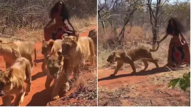 ଦେଖନ୍ତୁ ୬ଟି ସିଂହୀ ସହିତ କିପରି ଜଙ୍ଗଲରେ ବୁଲୁଛନ୍ତି ମହିଳା