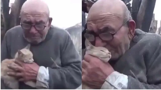 ଘର ଜଳି ପାଉଁଶ ହୋଇଯାଇଥିବା ବେଳେ ପୋଷା ବିଲେଇକୁ ଜୀବିତ ପାଇ ଭୋଭୋ ହୋଇ କାନ୍ଦିବାକୁ ଲାଗିଲେ ବୃଦ୍ଧ