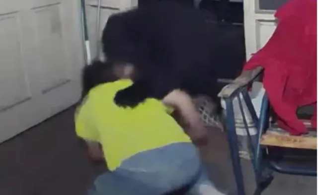 ‌ପୋଷା କୁକୁରଙ୍କୁ ବଞ୍ଚାଇବା ପାଇଁ ଭାଲୁ ସହିତ ଲଢ଼େଇ କଲେ ମାଲିକ