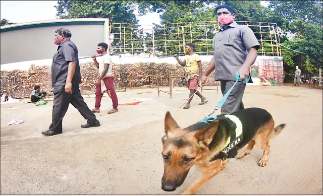 ରାଜ୍ୟସ୍ତରୀୟ ସାଧାରଣତନ୍ତ୍ର ଦିବସ ପାଇଁ ପ୍ରସ୍ତୁତି ଶେଷ: କଡ଼ା ସୁରକ୍ଷା ବଳୟରେ ଗାନ୍ଧୀମାର୍ଗ