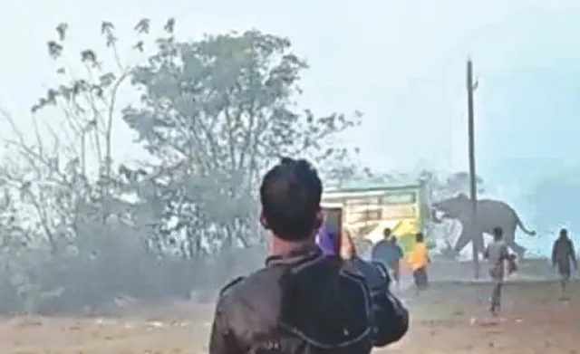 ବସ୍‌କୁ ଗୋଡ଼ାଇ ଆତଙ୍କ ଖେଳାଇଲା ଦନ୍ତା; କାଚ ଭାଙ୍ଗିଲା, ଅଳ୍ପକେ ବର୍ତ୍ତିଲେ ୨୦ ଯାତ୍ରୀ