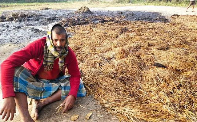 ଧାନଗଦାରେ ନିଆଁ ଲଗାଇ ଦେଲେ ଦୁର୍ବୃତ୍ତ