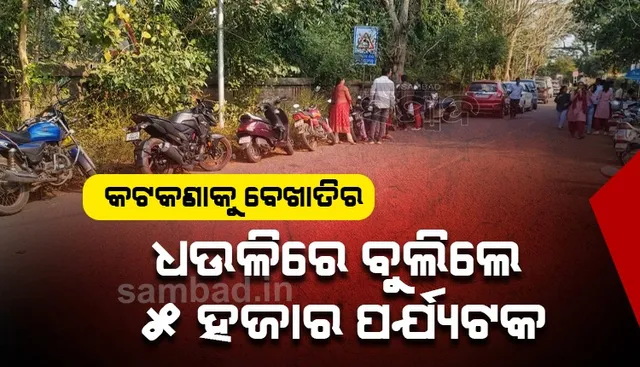 ସ୍ଥାନୀୟ ବାସିନ୍ଦା ପରିଚୟ ଦେଇ ଧଉଳିରେ ବୁଲୁଛନ୍ତି ପର୍ଯ୍ୟଟକ, ନୂଆବର୍ଷ ଭୋଜିରେ ଗଣ୍ଡଗୋଳ