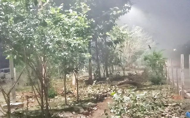 ରାସ୍ତା ସମ୍ପ୍ରସାରଣ ପାଇଁ ଗଛ ବଳି: କାଟିଦେଲେ ଆଉ ୪୦୦