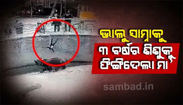 ଭାଲୁ ସାମ୍ନାକୁ ୩ବର୍ଷ ଶିଶୁକୁ ଫିଙ୍ଗିଦେଲା ମା’