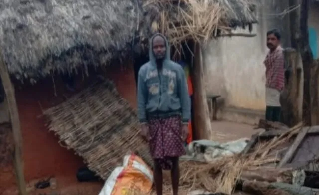 ତେଲକୋଇରେ ଗୋଠଛଡ଼ା ଦନ୍ତାର ଉପଦ୍ରବ