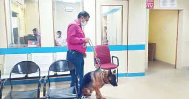 ଲକ୍ଷ୍ମୀପୁର ଷ୍ଟେଟ୍ ବ୍ୟାଙ୍କରୁ ସୁନାଗହଣା ଚୋରି