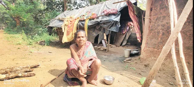 ବାସଗୃହ ଖଣ୍ଡେ ନାହିଁ କି ସାହା ବୋଲି କେହି ନାହାନ୍ତି: ଜରିପାଲ ଘେରା ଭଙ୍ଗା ଦଦରା କୁଡିଆରେ ଅର୍ଦ୍ଧାହାରରେ ବିତୁଛି ବୃଦ୍ଧାଙ୍କ ଜୀବନ