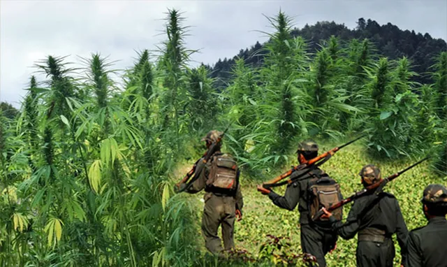 ପୁଲିସ ଇନଫର୍ମର ଦର୍ଶାଇ ଯୁବକଙ୍କୁ ଘରୁ ଉଠାଇ ନେଲେ, ଜଙ୍ଗଲରେ ନିସ୍ତୁକ ପିଟି କଲେ ହତ୍ୟା