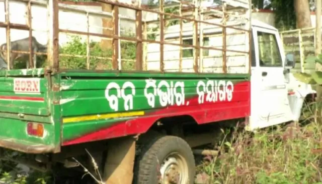 କ୍ଷମତାର ଅପବ୍ୟବହାର: ଜବତ ପିକ୍‌-ଅପ୍‌ ବ୍ୟବହାର କରୁଥିଲା ବନ ବିଭାଗ, ଚେକିଂ ବେଳେ ଖୋଲିଲା ଗୁମର