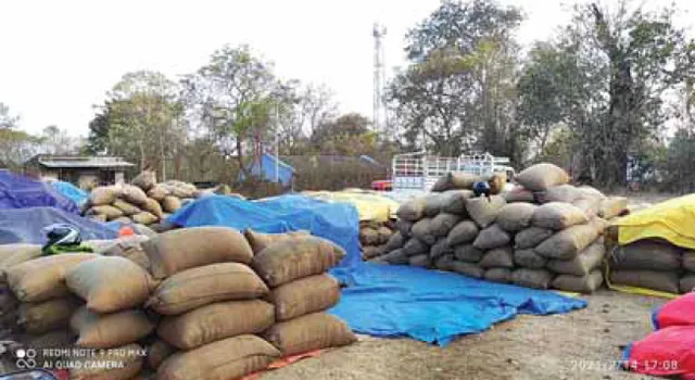 ମଣ୍ଡିରେ ନାହିଁ ବ୍ୟବସ୍ଥା, ମିଲ୍‌ରେ ଧାନ ଓଜନ