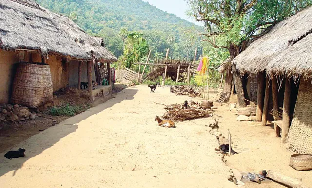 ସାତକୋଶିଆ ଗାଁ ବିସ୍ଥାପନ କେଳେଙ୍କାରୀ: ବୟସରେ ଜାଲିଆତି, ଟେକିଦେଲେ ୨୦ଲକ୍ଷ