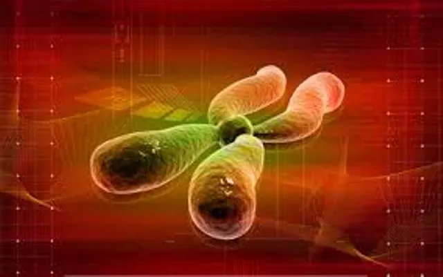 ବାଦାମବାଡ଼ି, ଫ୍ରେଣ୍ଡସ୍‌ କଲୋନିରେ ବି ବେଆଇନ ଲିଙ୍ଗ ନିରୂପଣ! ମେସିନ୍‌ ଧରି ଘରେ ପହଞ୍ଚି ଯାଉଛି ଦଲାଲ