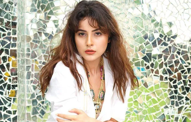 ଗୀତ ରାଇଜର ପାଟରାଣୀ ‘ସେହନାଜ୍‌ କୌର ଗିଲ୍‌’