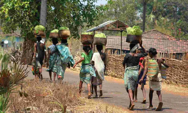 ଅନ୍ଧାରରେ ୩୯୮ ଆଦିମ ଜନଜାତି ଗଁା: ବିକାଶ ଏଠି ସାତସପନ, ଗଜପତି ସ୍ଥିତି ସଙ୍ଗିନ