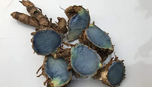 ହନୁମାନ ପଇସା ପରେ ଏବେ କଳାହଳଦି ପାଇଁ ଗଞ୍ଜାମରେ ଦଲାଲ ସକ୍ରିୟ, ଚାଲିଛି ଲକ୍ଷ ଲକ୍ଷ ଟଙ୍କାର କାରବାର