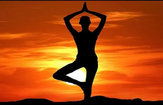 ହୋମ ଆଇସୋଲେସନରେ ଥିବା ରୋଗୀ ଶିଖିବେ ଯୋଗ, ଦିଲ୍ଲୀ ସରକାର ଆରମ୍ଭ କଲେ ଅନଲାଇନ ଯୋଗ ଶିବିର