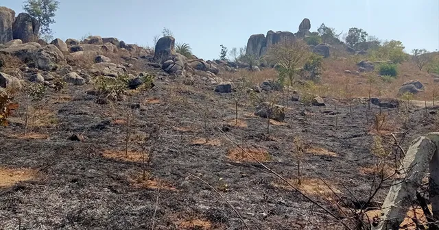 ବାହାଦୁରପଦର ବିରିପୁରା ପାହାଡ଼ରେ ଲାଗିଲା ନିଆଁ