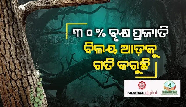 ଏବେ ବି ଆବିଷ୍କାର ହୋଇନାହିଁ ୯୦୦୦ ପ୍ରଜାତିର ଗଛ; କିନ୍ତୁ, ସେସବୁ ଧ୍ବଂସ ମୁଖରେ