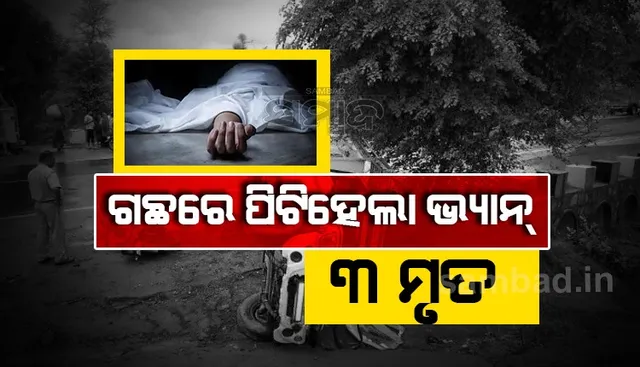 ଗଛରେ ପିଟି ହେଲା ଭ୍ୟାନ୍: ପ୍ରାଣ ହରାଇଲେ ୩ ମହିଳା, ୧୫ ଜଣ ଗୁରୁତର
