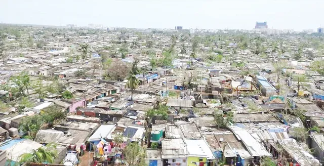 କିଏ ହା‌ତେଇବ ସାଲିଆସାହି?