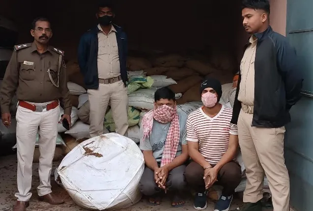 ଦେଶୀ ମଦ ତିଆରିବାକୁ ନେଉଥିଲେ ୫୮ କ୍ବିଣ୍ଟାଲ ମହୁଲ ଫୁଲ, ଧରାପଡ଼ି ଜେଲ ଗଲେ ୩ ଅଭିଯୁକ୍ତ