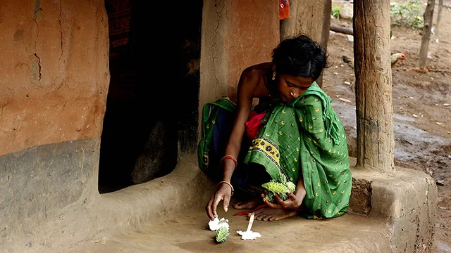 କାମ ଦେଉନି କୁପୋଷଣ ନିୟନ୍ତ୍ରଣ ଯୋଜନା: ବୁଝେଇଲେ ବି ବୁଝୁନାହାନ୍ତି ଗାଁ ମହିଳା