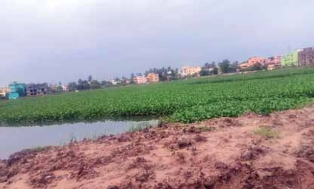 ଅନିଶ୍ଚିତତାରେ ତୁଳସୀପୁର ଆମୋଦ ଉଦ୍ୟାନ, ଝୁଲି ରହିଛି ୨୦କୋଟିର ପ୍ରକଳ୍ପ; ପ୍ରତିବର୍ଷ ବଢ଼ୁଛି ଏଷ୍ଟିମେଟ୍‌