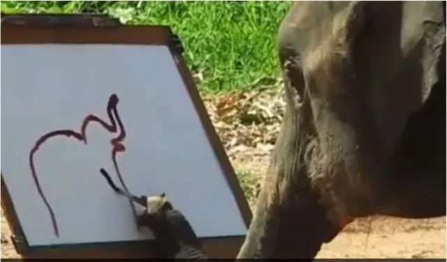 ଶୁଣ୍ଢରେ ରଙ୍ଗ ତୂଳୀ ଧରି ନିଜର ଅବିକଳ ଚିତ୍ର ଆଙ୍କୁଛି ହାତୀ