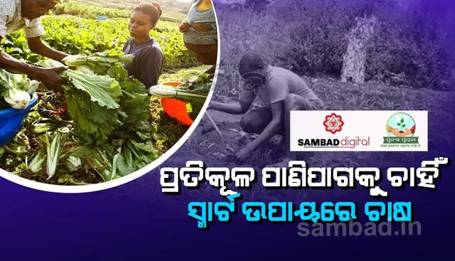 ପ୍ରତିକୂଳ ପାଣିପାଗକୁ ଚାହିଁ ‘ସ୍ମାର୍ଟ’ ଉପାୟରେ ଚାଷ କରୁଛନ୍ତି ଇଥିଓପିଆର କୃଷକ