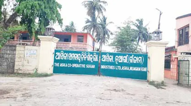 ଆସିକା ଚିନିଶିଳ୍ପରେ ଧଳାହାତୀ ‌ପୋଷା; ଆଖୁଚାଷୀ, ଚାଷକୁ ପ୍ରୋତ୍ସାହନ ଚିନ୍ତା ନାହିଁ