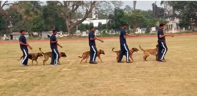 ଓଡ଼ିଶା ପୁଲିସରେ ସାମିଲ ହେଲେ ୫ଟି ଦକ୍ଷ ବେଲଜିୟମ ମାଲେନାଇସ କୁକୁର