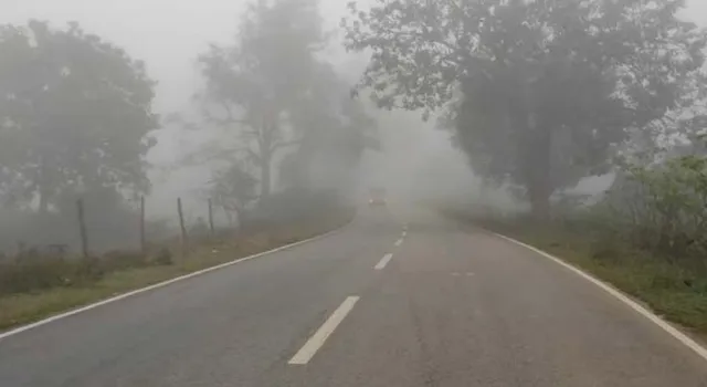 ରାଜ୍ୟରେ ୩ ଦିନ‌ ଅନୁଭୂତ ହେବ ପ୍ରବଳ ଶୀତ, ସକାଳୁ ପଡ଼ିବ କୁହୁଡ଼ି