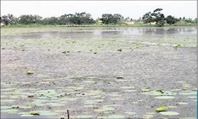 ନନ୍ଦନକାନନରେ ବିଶ୍ବ ଆର୍ଦ୍ରଭୂମି ଦିବସ: ପୋତି ହେଉଛି କିଆଖଣି ଓ କାଞ୍ଜିଆ ହ୍ରଦ